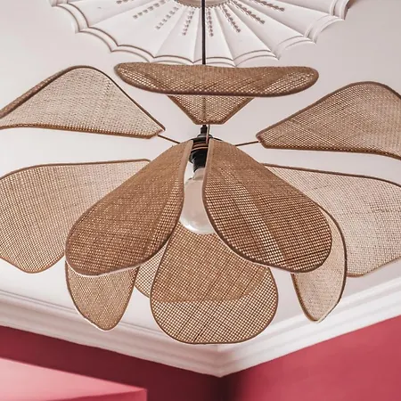 Springfield-windermere