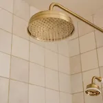 Springfield-windermere *