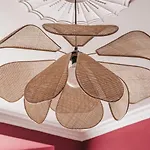 Springfield-windermere